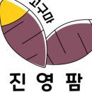 진영팜