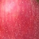 일심1로R 이미지