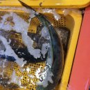 수야상회 이미지