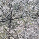 좋은아침 이미지