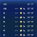 [🇫🇷여행일기] 프랑스 파리