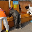 부평구 비타민길 이미지