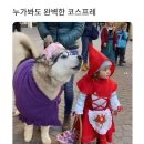 샤이펫