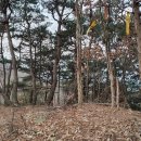 지천면사무소 이미지