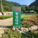 용문산그린펜션 이미지