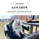 [강아지 이동가방] 편하고 자유로운 데일리백, 쏘오옥 프론트백 프리오더 구매 한 달 후기