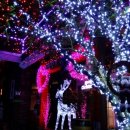 불빛축제 - 밀양 참샘허브나라 불빛축제 12월1일부터 이미지