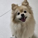 하림식당 이미지