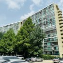 강남-211 이미지