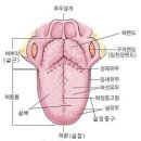 지체장애 질문입니아! 이미지