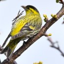 장머리방 이미지