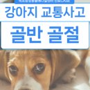 속초삼성동물메디컬센터 이미지