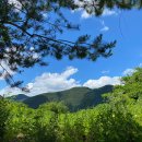 단양펜션소백스테이 이미지