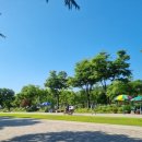 청계산로C 이미지