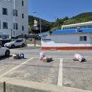 윤정이민박 이미지