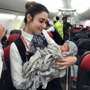 ​비행기에서 태어난 아기, 국적은 어디일까? 이미지