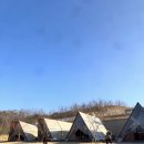 리틀어린이집차량(1대) | 부산근교 글램핑 캠핑 리틀포레스트 풀글램핑 다녀온 기록 :)