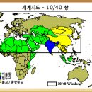 `메가처치`라는 괴물이 탄생하기까지(2) 이미지