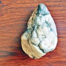 조광농장 이미지