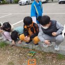 포곡초등학교 이미지