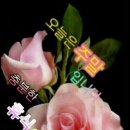 토요일 이미지