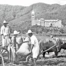 대목농장 이미지