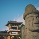 제주 리틀포레스트 이미지