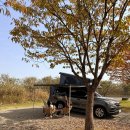 서울카오토타운 | 경기도 여주 대신오토캠핑장 넓은 자리 85번 예약 차박 후기