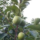 해신농장 이미지