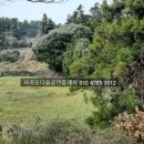 예래입구 이미지