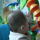 신월동010 이미지