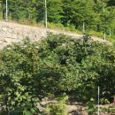 김형수농장 이미지