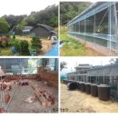 순환농장 이미지