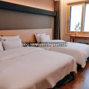 빈센트 호텔 이미지