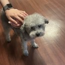 누가보면 빡칠 이번 블로그