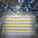 시대용역 | 어떻게 살 것인가 책 | 사이토 히토리 책 후기 | 감사의 한 마디가 운명을 바꿉니다 추천 리뷰 핵심 요약