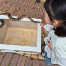 아이미소어린이집 | [육아쉼표] 미소가득어린이집 &#39;주토피아 어드벤처&#39; 참여후기