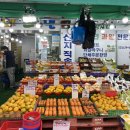 송화비타민과일