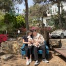 쿠쿠숲 | 경남 밀양 펜션 | 넓은 개인 마당이 있는 애견동반펜션 쿠쿠숲펜션 4번방 솔직후기