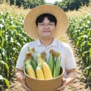 옥수수가맛있는집 네이버블로그