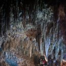 종일코스 이미지