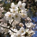 사월경로당 이미지