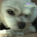 늦잠