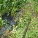 마사농장 이미지