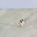 호스위 이미지
