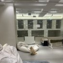 먹구가자 | 코엑스 애견카페 어야가자 다녀온 후기 ,위치 ,장소공유 아이와 강아지 함께 놀기 좋은 곳 별마당도서관...