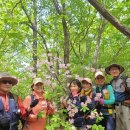 {일요산행}6월2일(일)삼성산 &수목원&폭포(엄목님리딩) 이미지