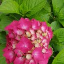 복받음길 이미지