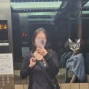 0327 - 0331 보홀 여행 3일차 ③ : 라모이, 아이스플레이크, 해피풋스파