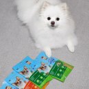 (주)마코펫 | 노령견 부드러운 강아지간식 칙스틱 좋다개~